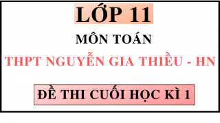 ĐỀ THI CUÓI HỌC KÌ 1 - MÔN TOÁN - THPT NGUYỄN GIA THIỀU - HN